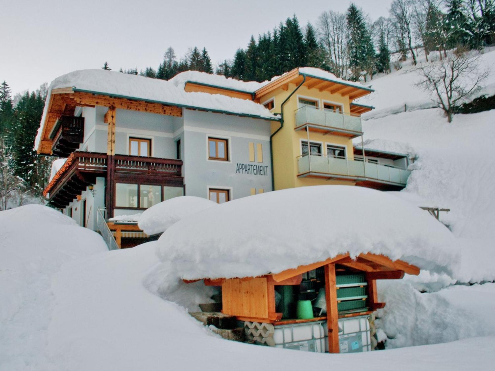 Beautiful Apartment In Zell Am See Near Ski Area Ngoại thất bức ảnh